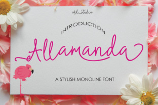 Allamanda Font: A Modern Script for Organic Branding