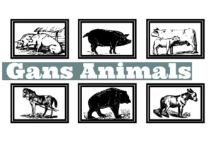 Gans Animals Font: Vintage Dingbats for Digital Marketing
