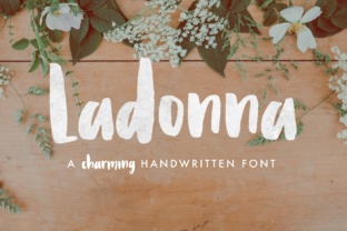 Ladonna: A Charming Script Handwritten Font for Editorial Design
