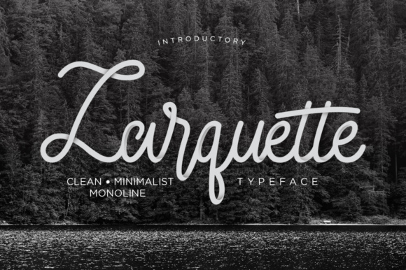 Larquette Font Review: Organic Style for Digital Campaigns