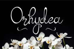 Orhydea Font: Elevating Small Business Branding