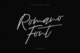 Romano Font: Elevating Small Business Brand Identity