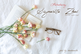 Signarita Zhai Font for Editorial Design and Branding