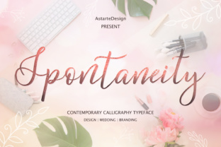 Spontaneity Font for Feminine Web Design