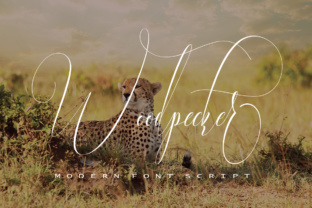 Woodpecker Font: Elegant Script for Small Business Branding